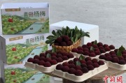 壬水命女高速赋能产业升级：一条“杨梅路”的致富密码